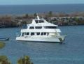 Yate Tip Top III